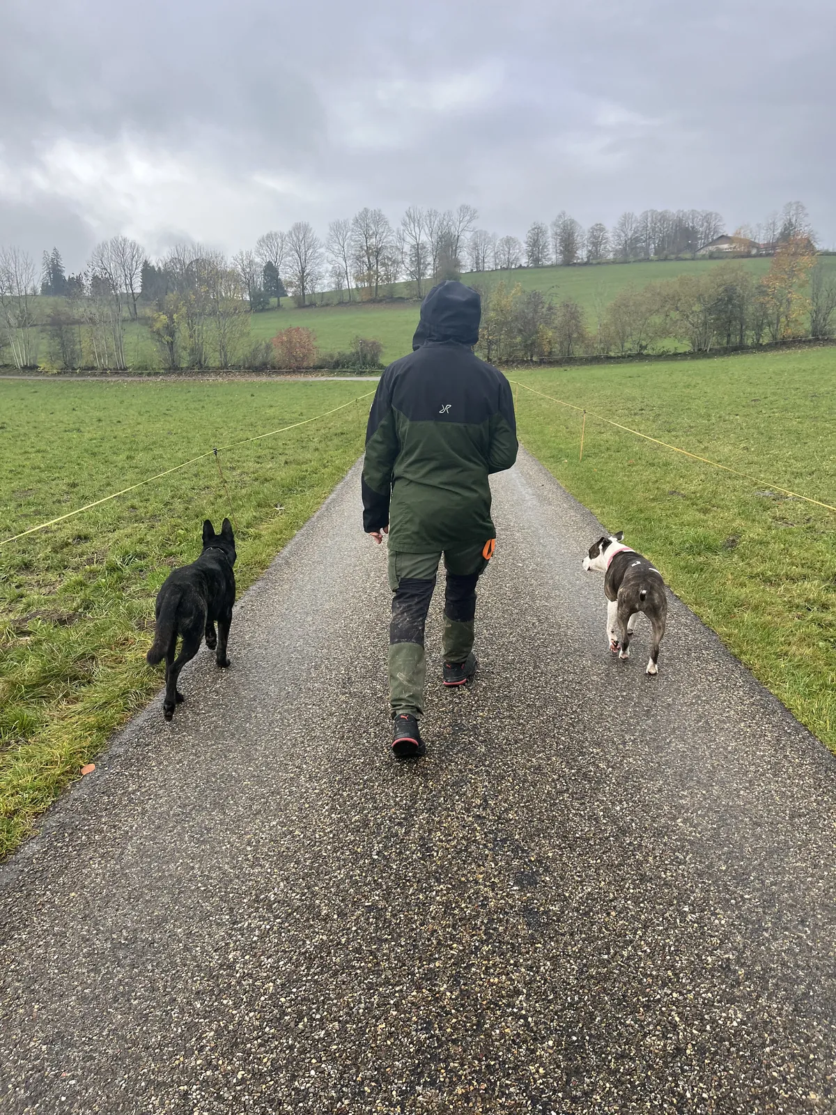 Éthique de travail respectueuse et renforcement positif